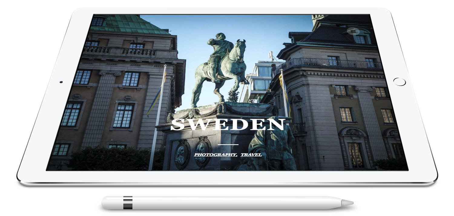 wordpress-developers-3