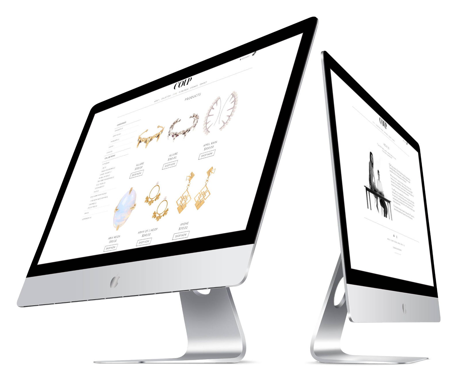 shopify theme development