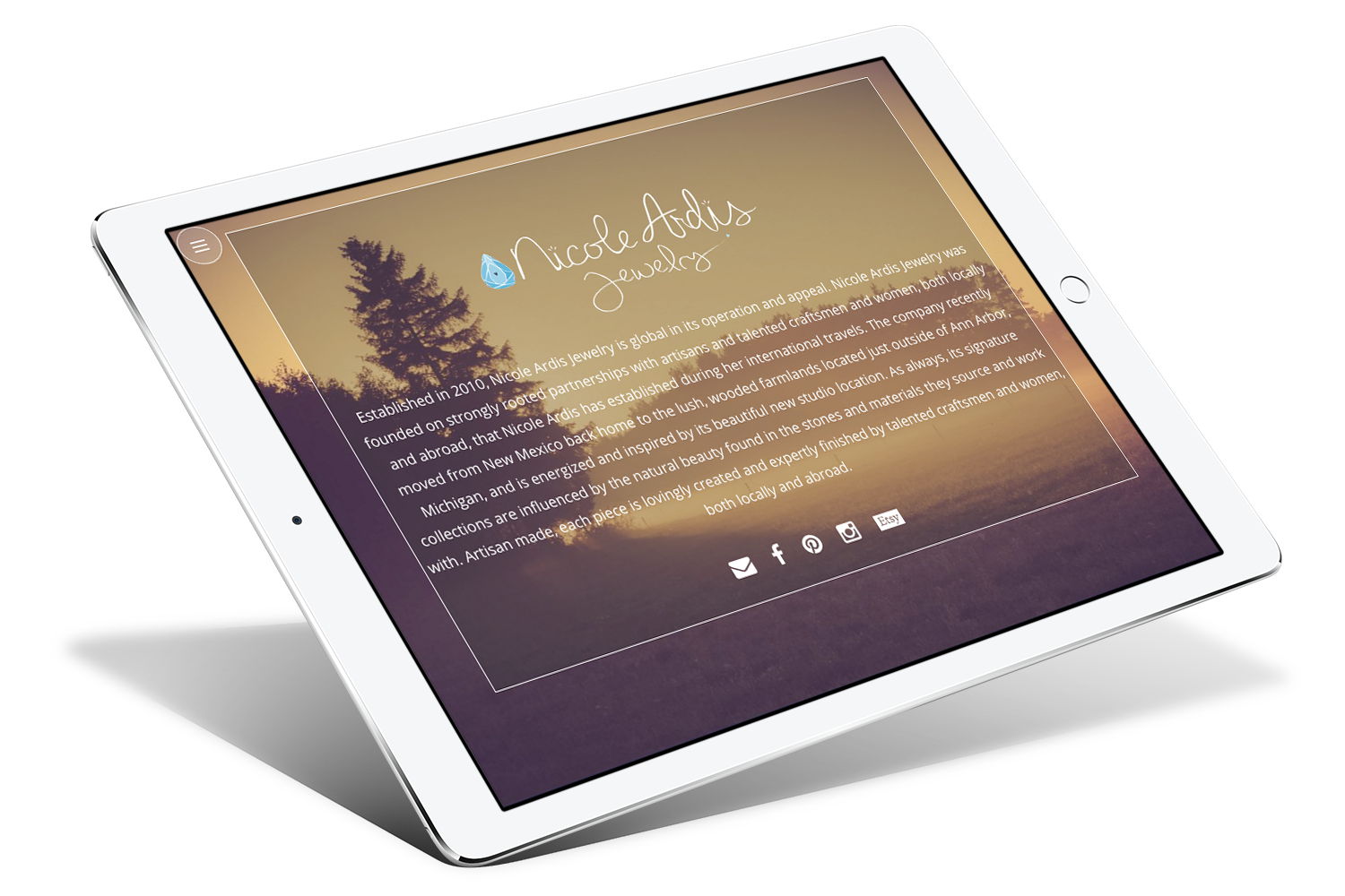 Wordpress developers