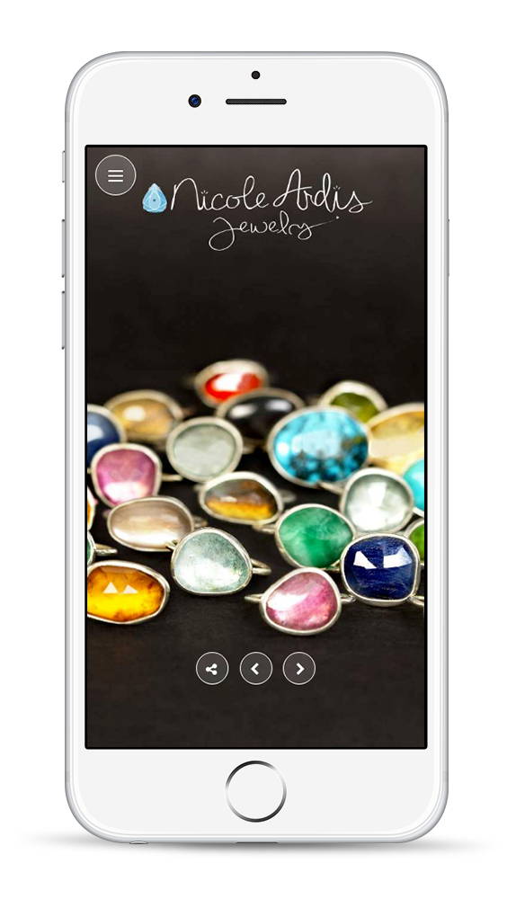 Wordpress developers