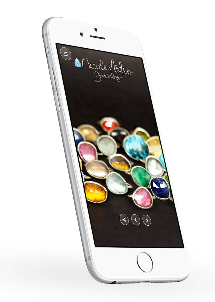 Wordpress developers