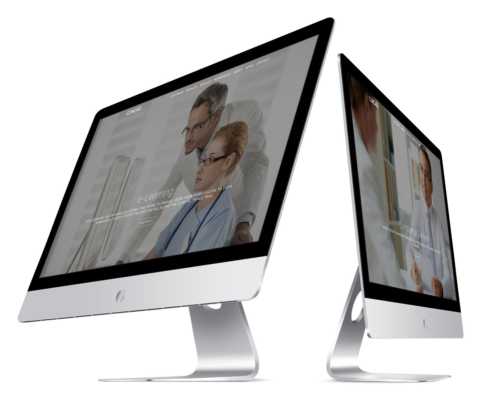 wordpress theme development