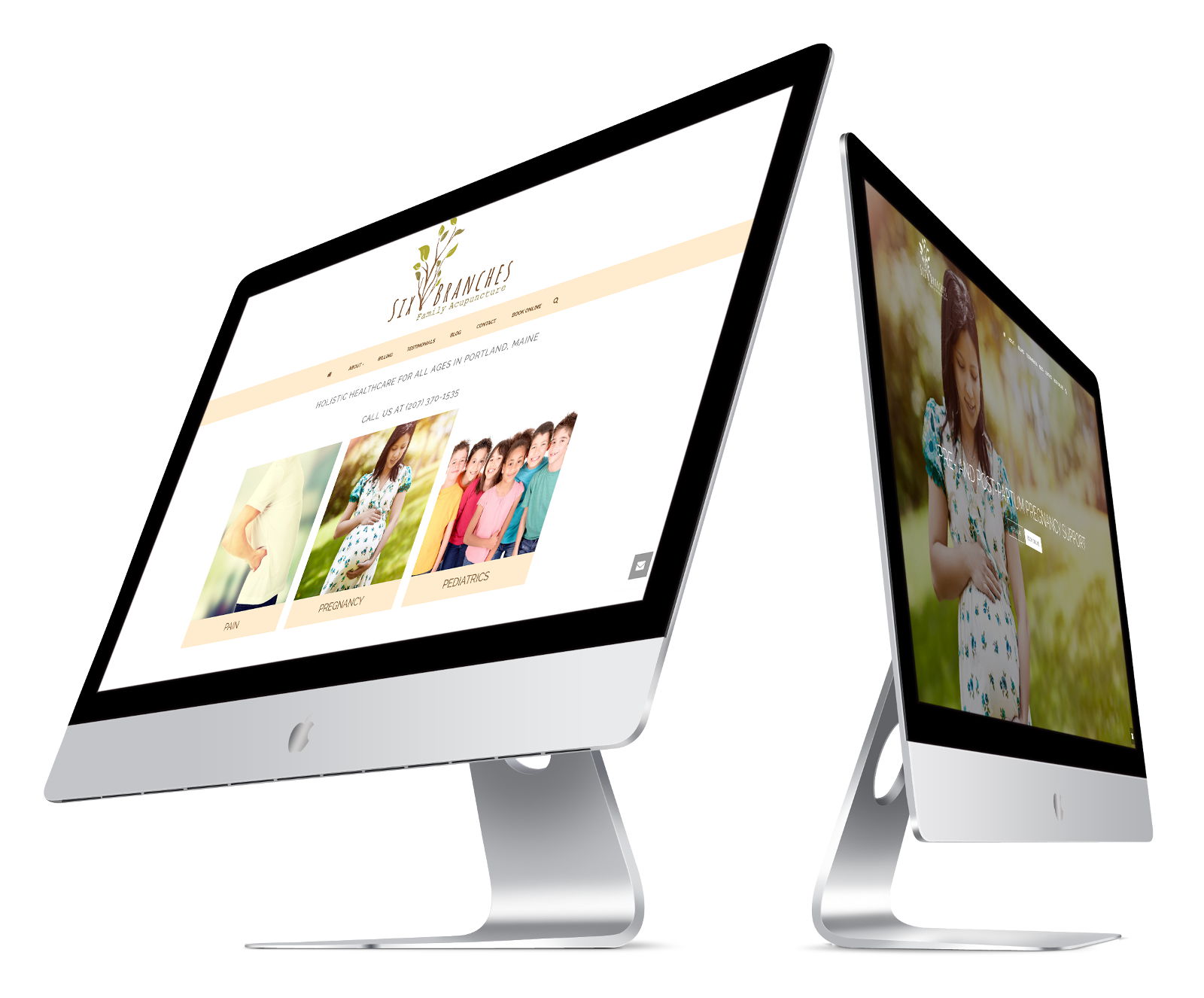 wordpress developer project London