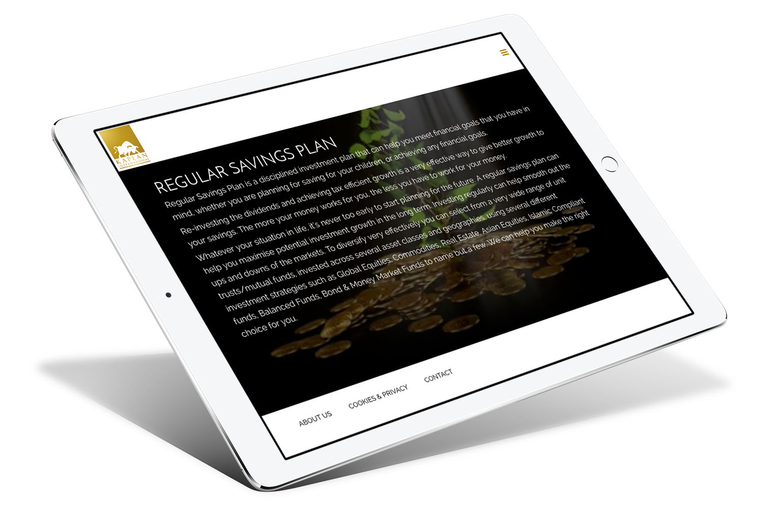 custom wordpress development