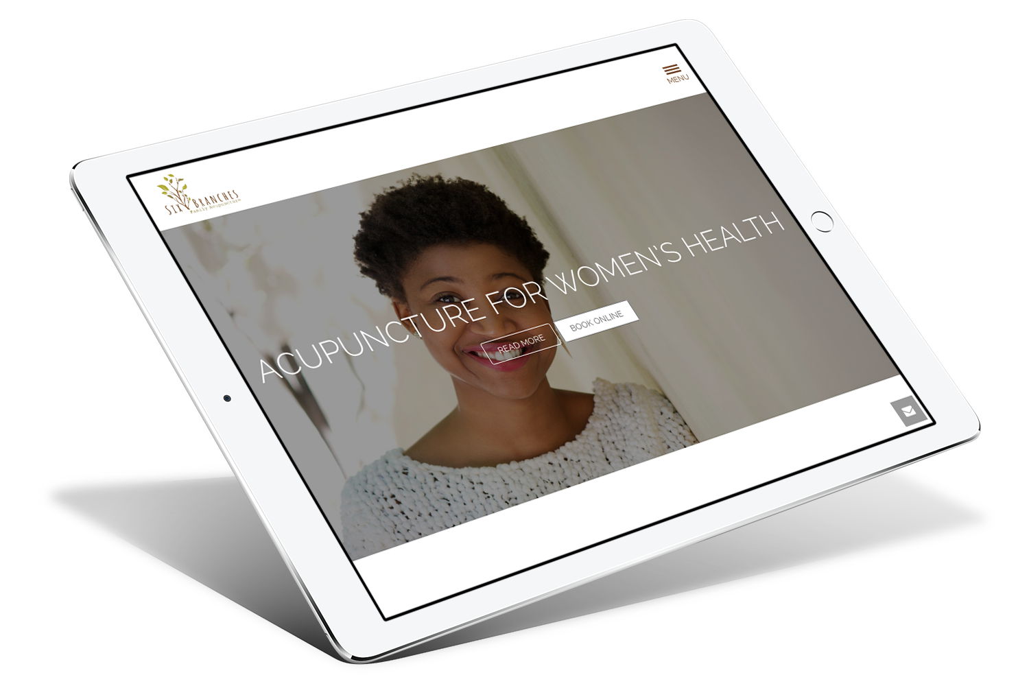 wordpress developer project London