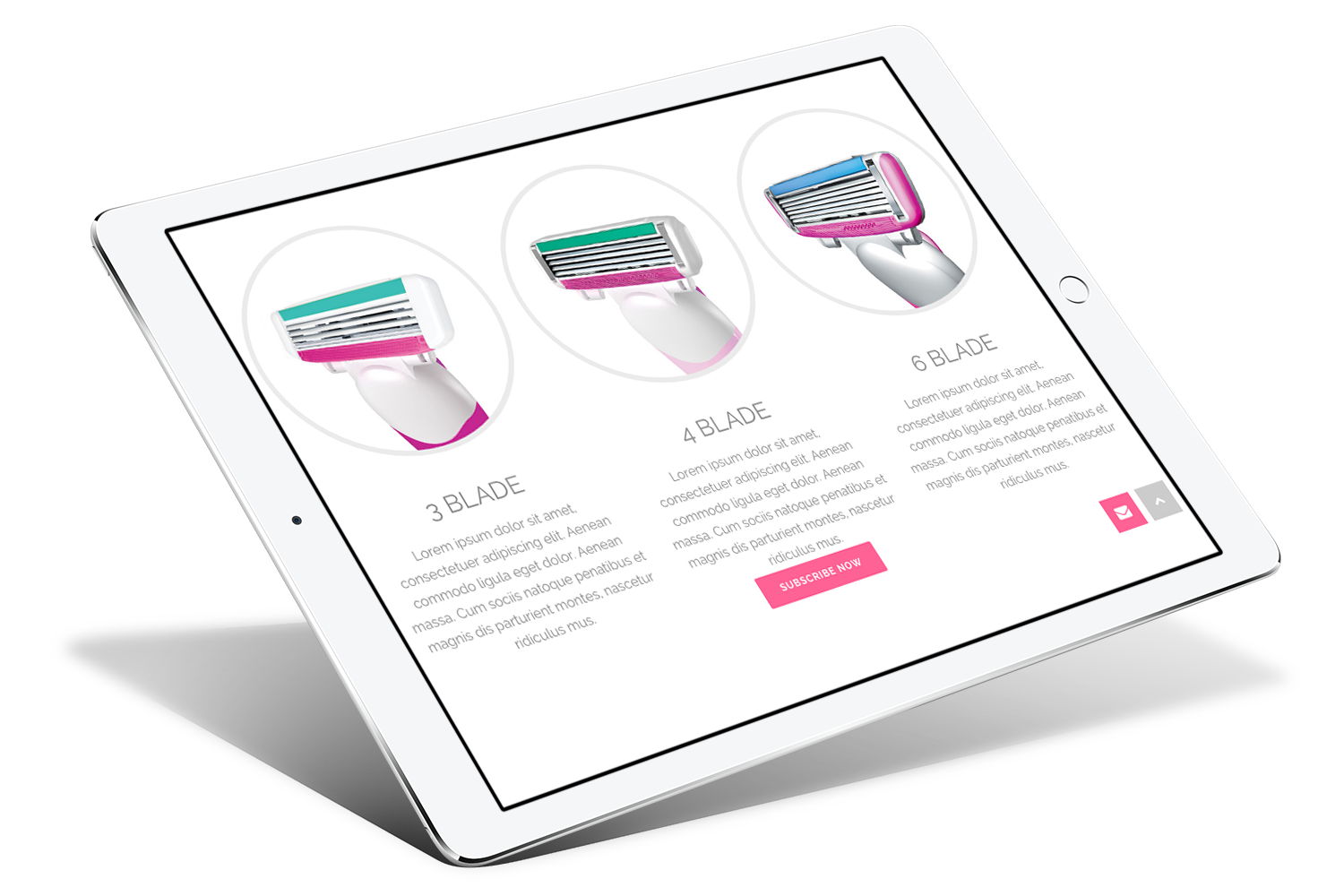 custom wordpress development