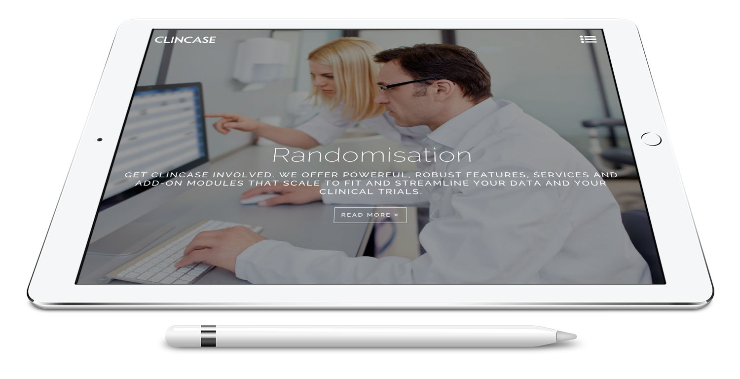 wordpress theme development