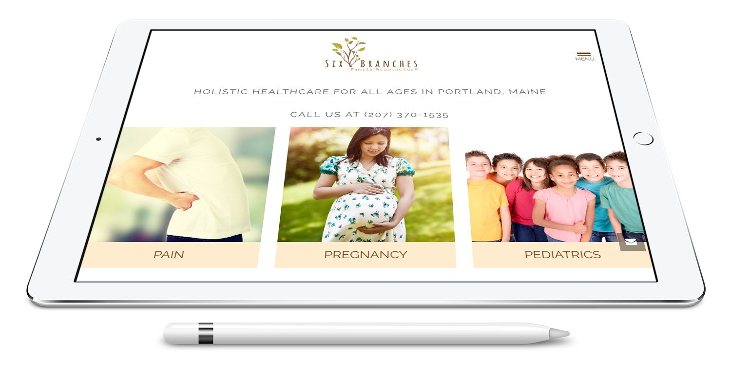 wordpress developer project London