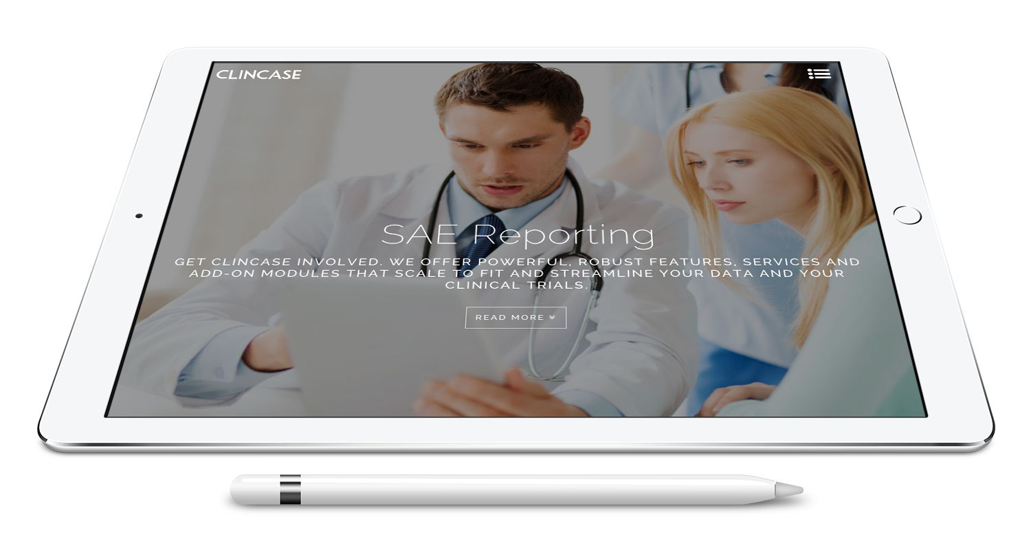 wordpress theme development