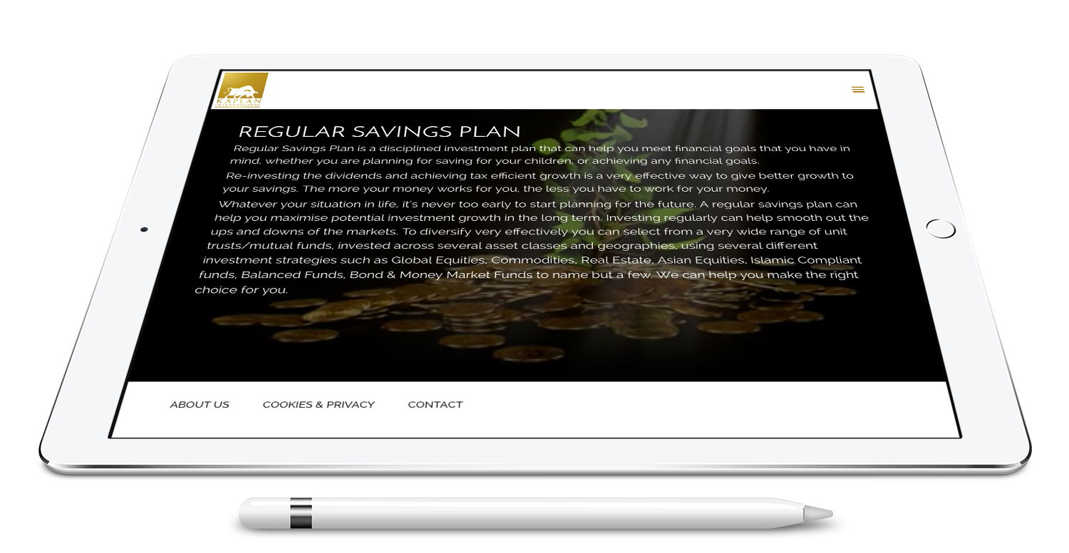 custom wordpress development
