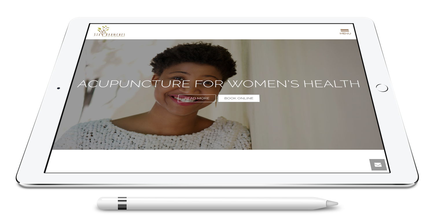 wordpress developer project London