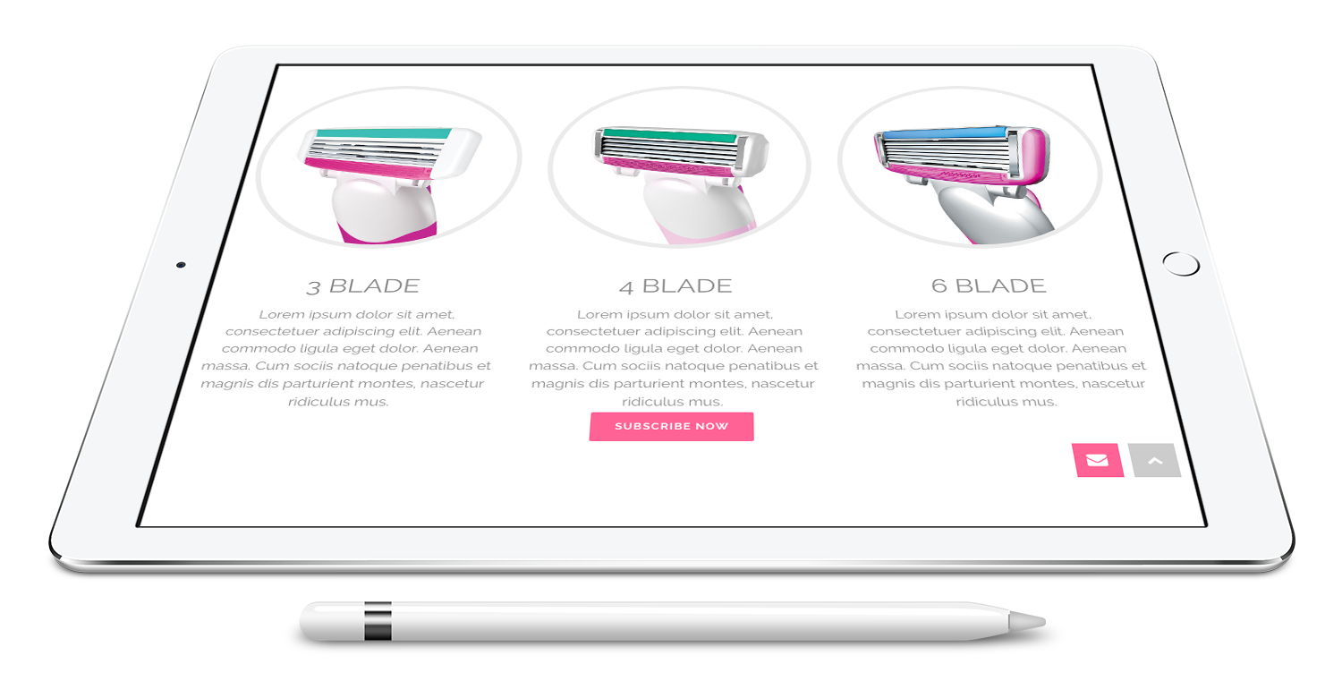 custom wordpress development