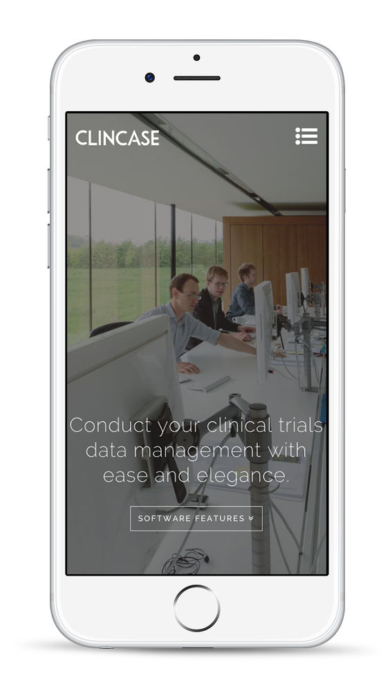 wordpress theme development