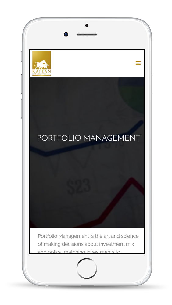 custom wordpress development