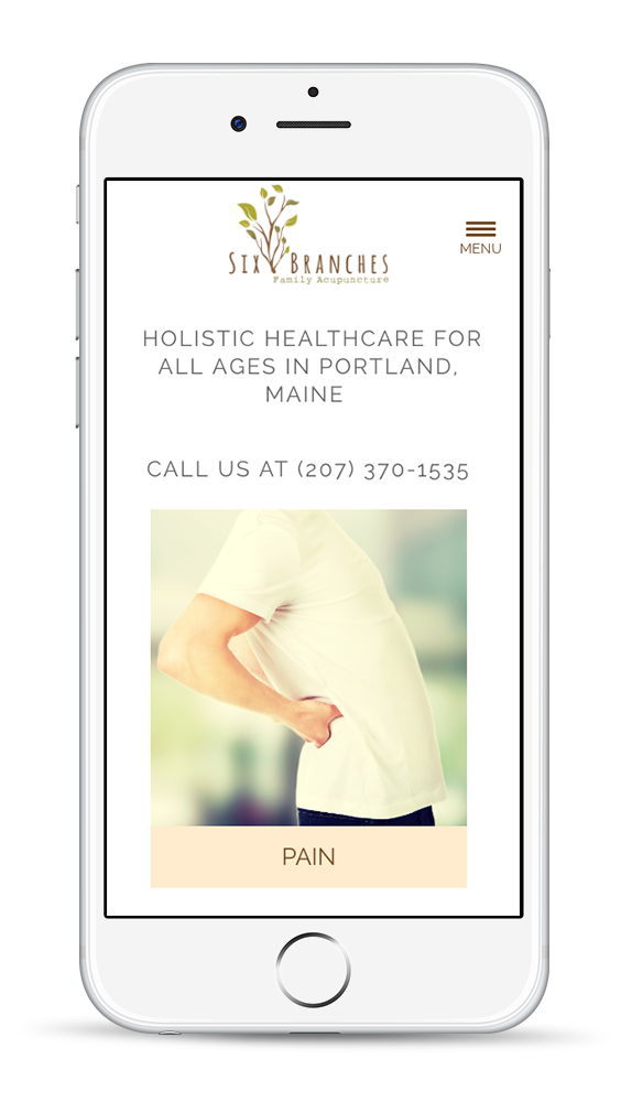 wordpress developer project London