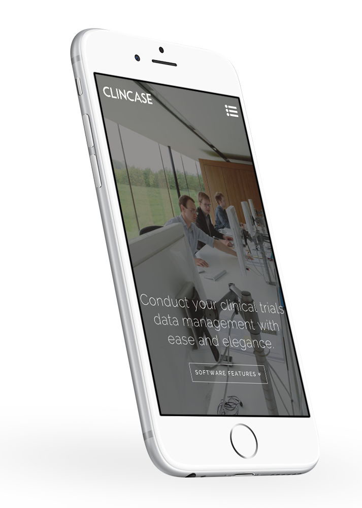 wordpress theme development