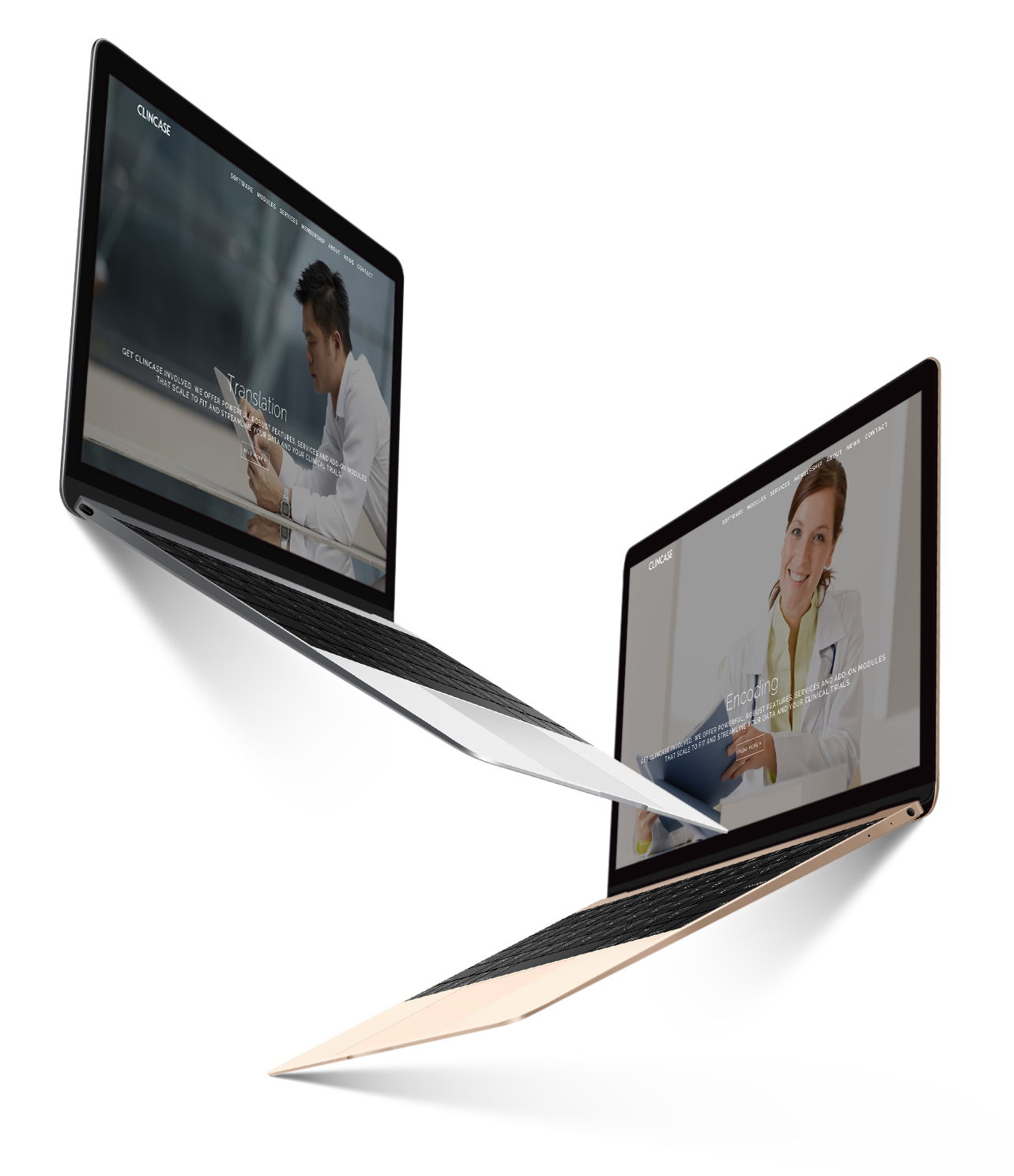 wordpress theme development