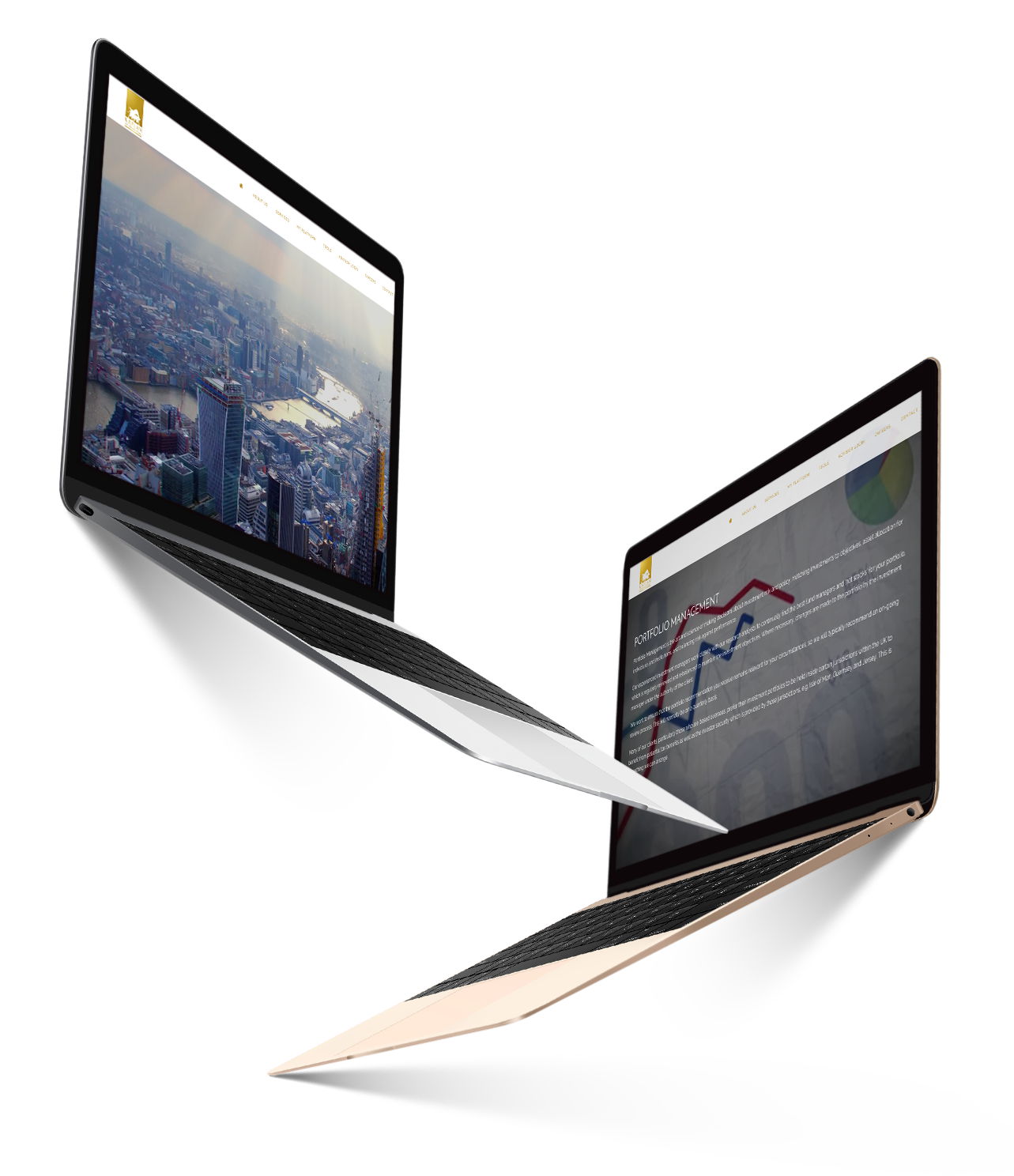 custom wordpress development