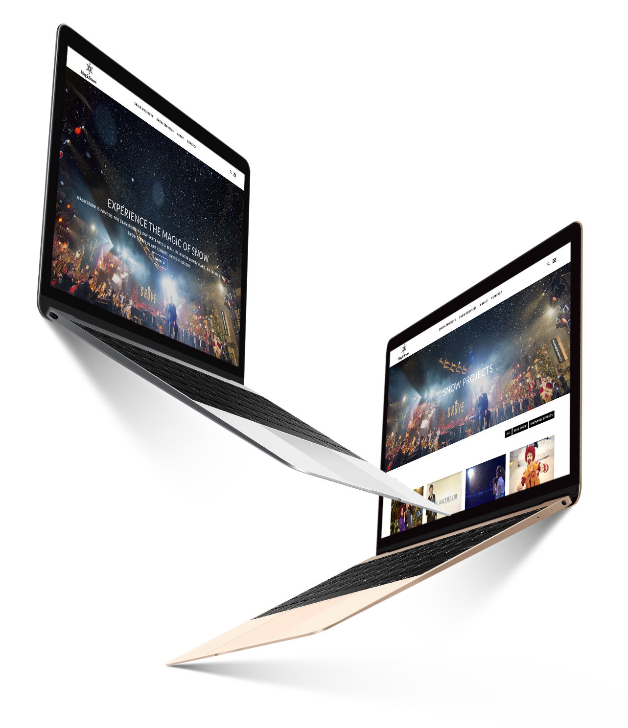 wordpress developers London