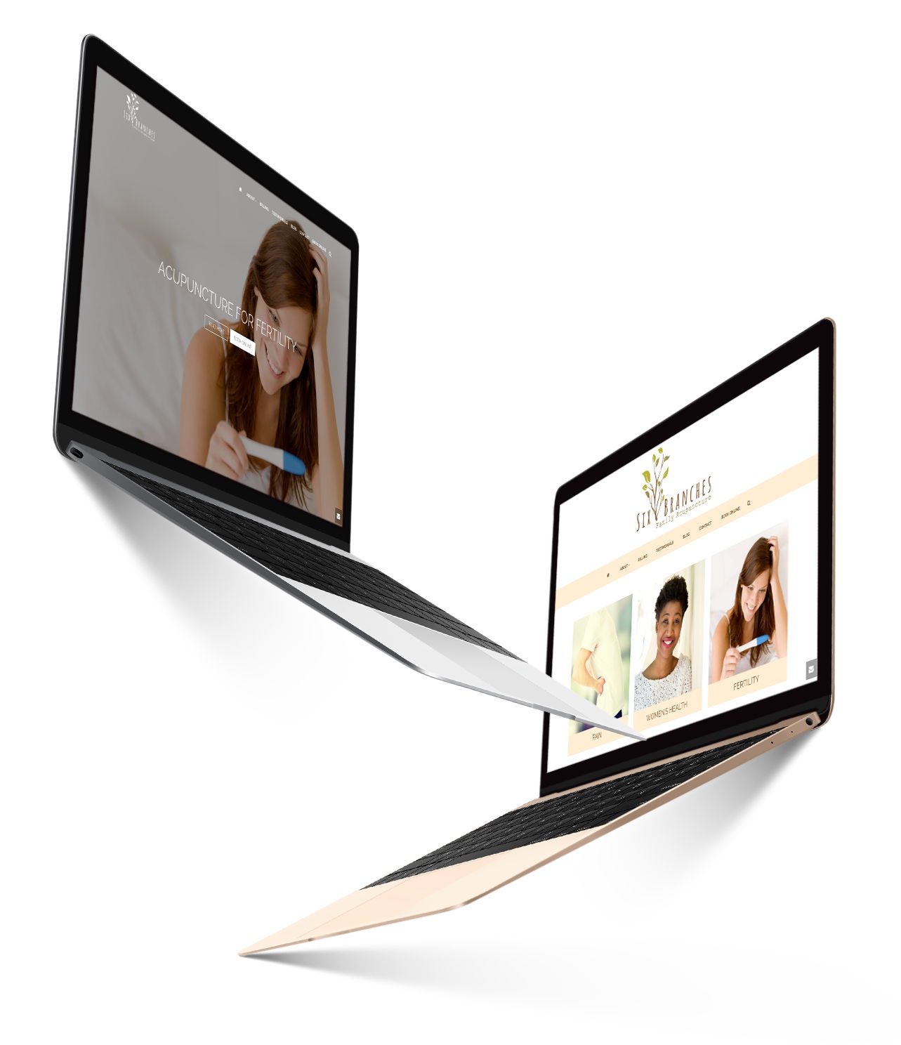 wordpress developer project London