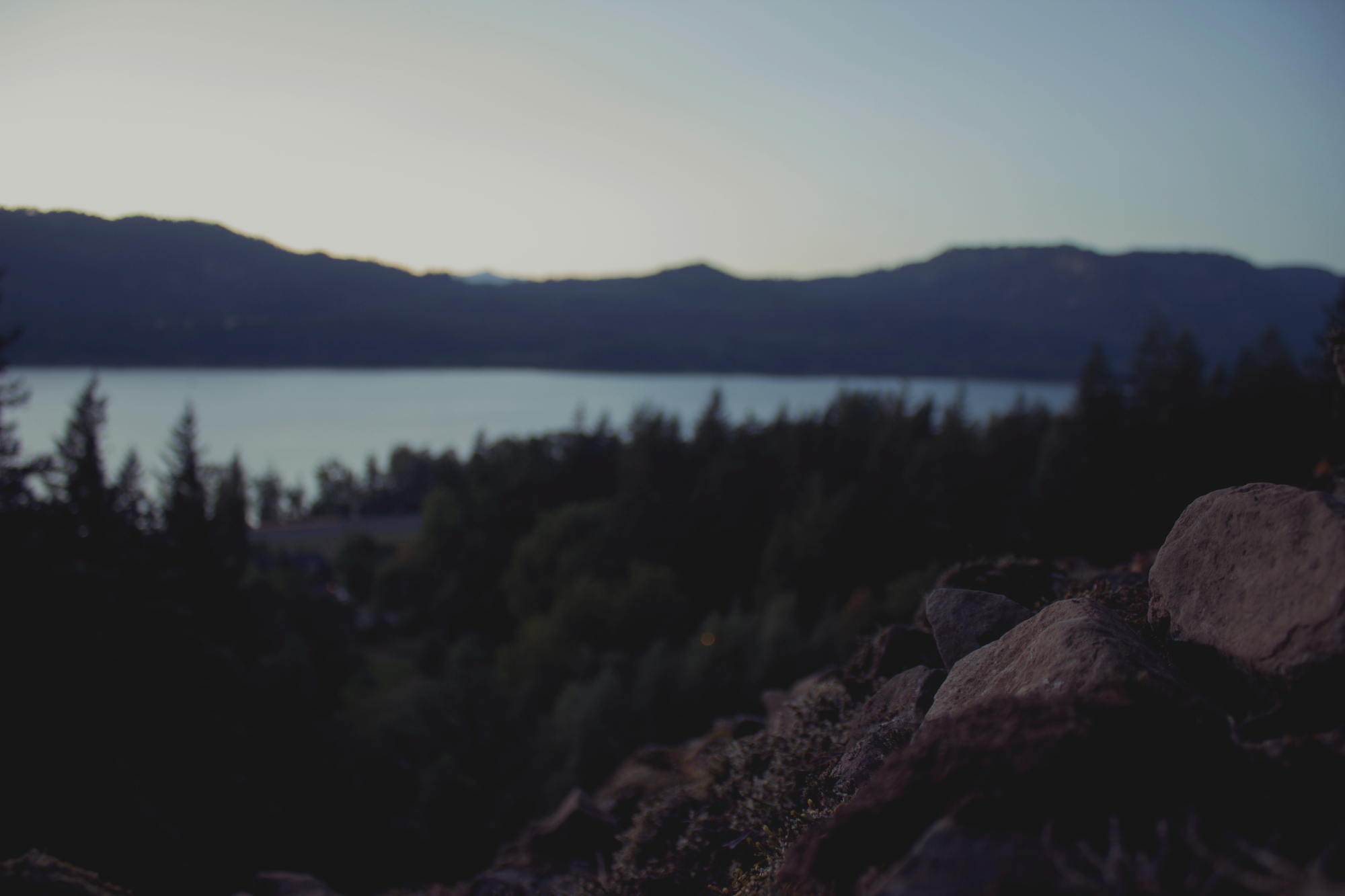 Shopify Plus Upgrade Your Checkout Message – What To Do?