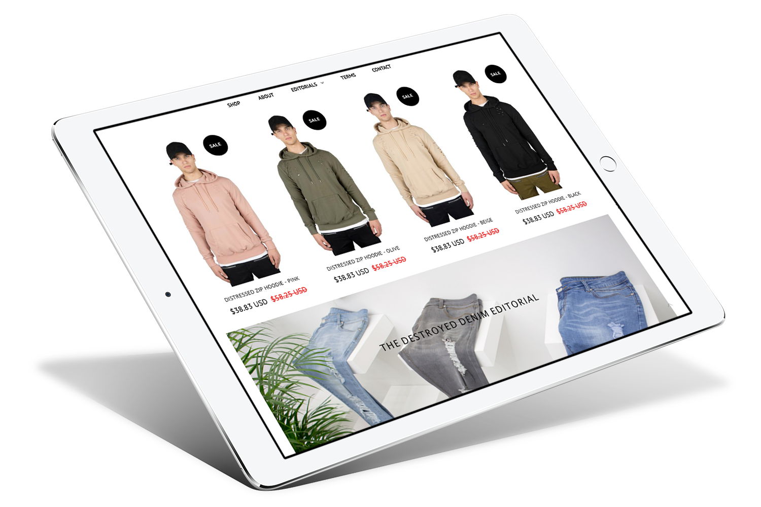 shopify plus development IPAD_ANGLE_1_NVLTY