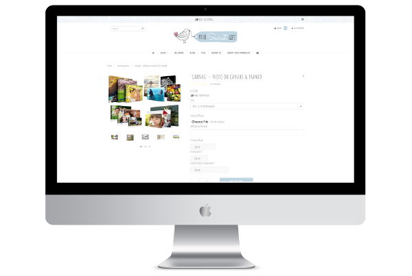 shopify development for prints website