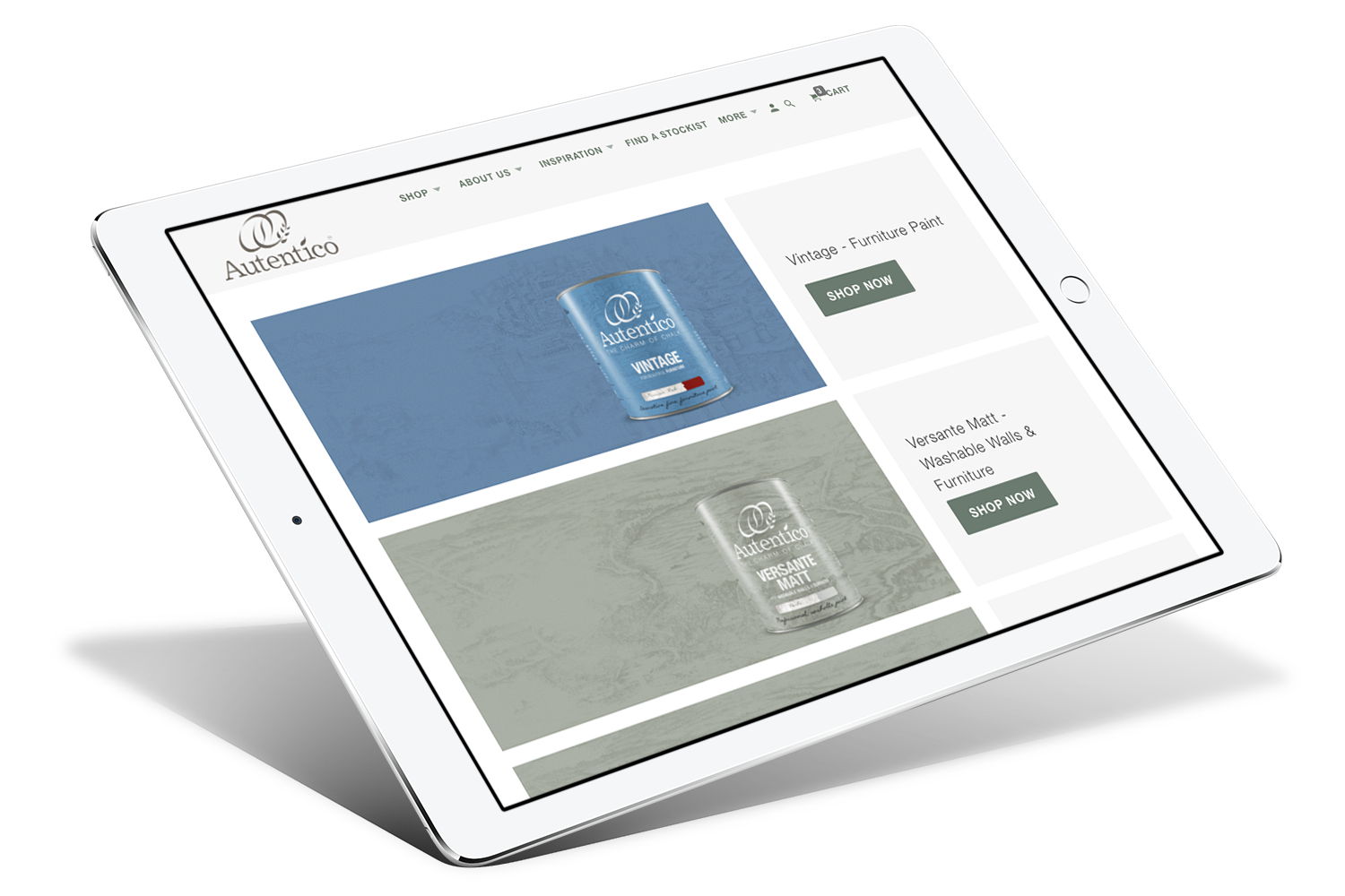 Shopify Design & Development for paint website screenshot