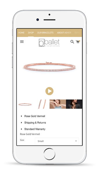 custom shopify theme development screenshot