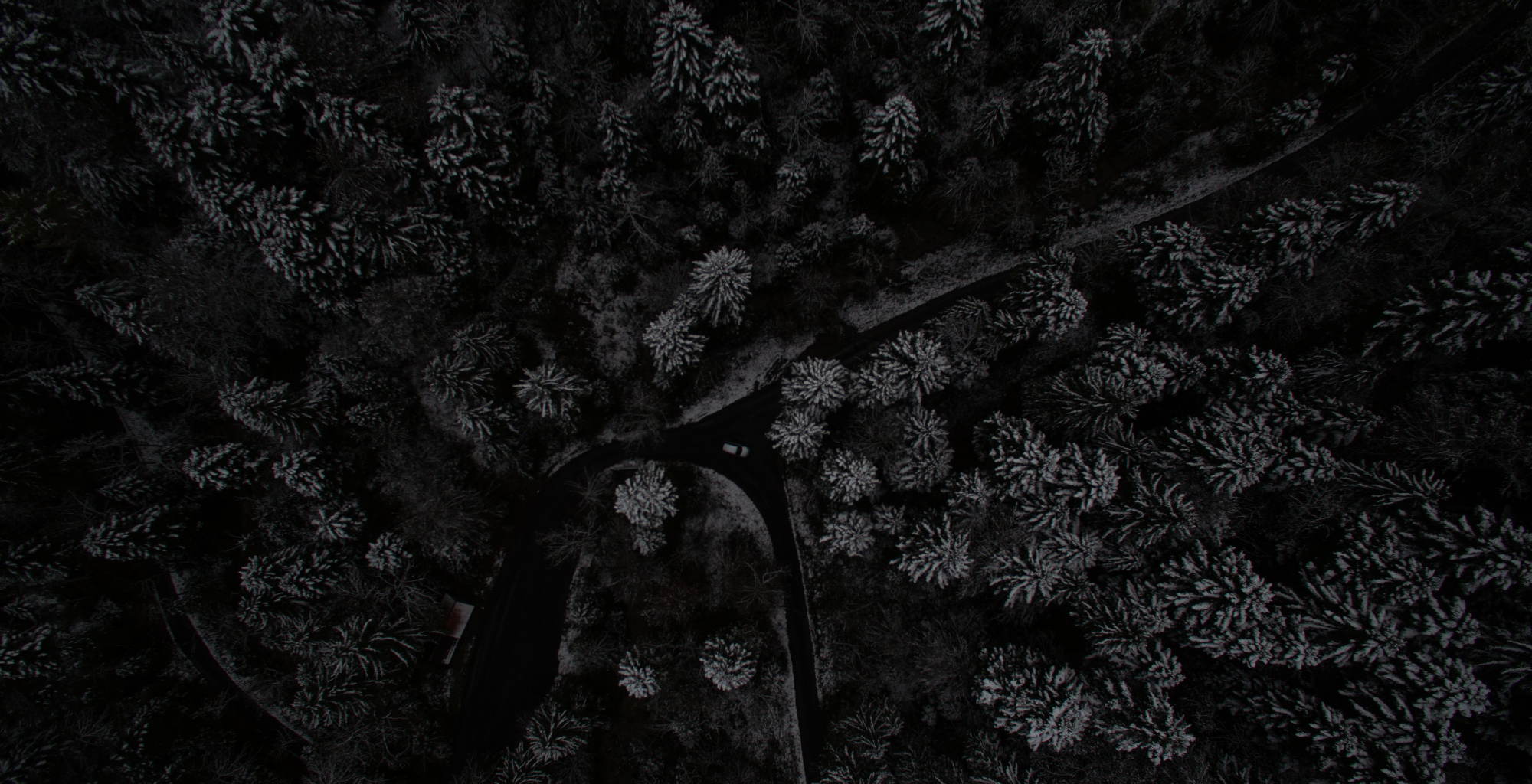 Top 5 Shopify Apps For Shopify Developers