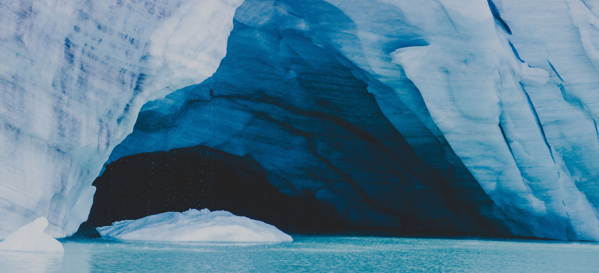 Shopify Freelance Web Designer vs. Shopify Experts – Should I Hire a Shopify Expert?