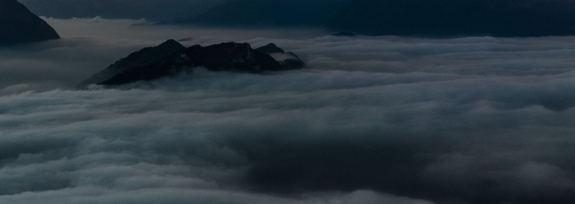 Top 5 Free Shopify Themes from the Shopify Theme Store