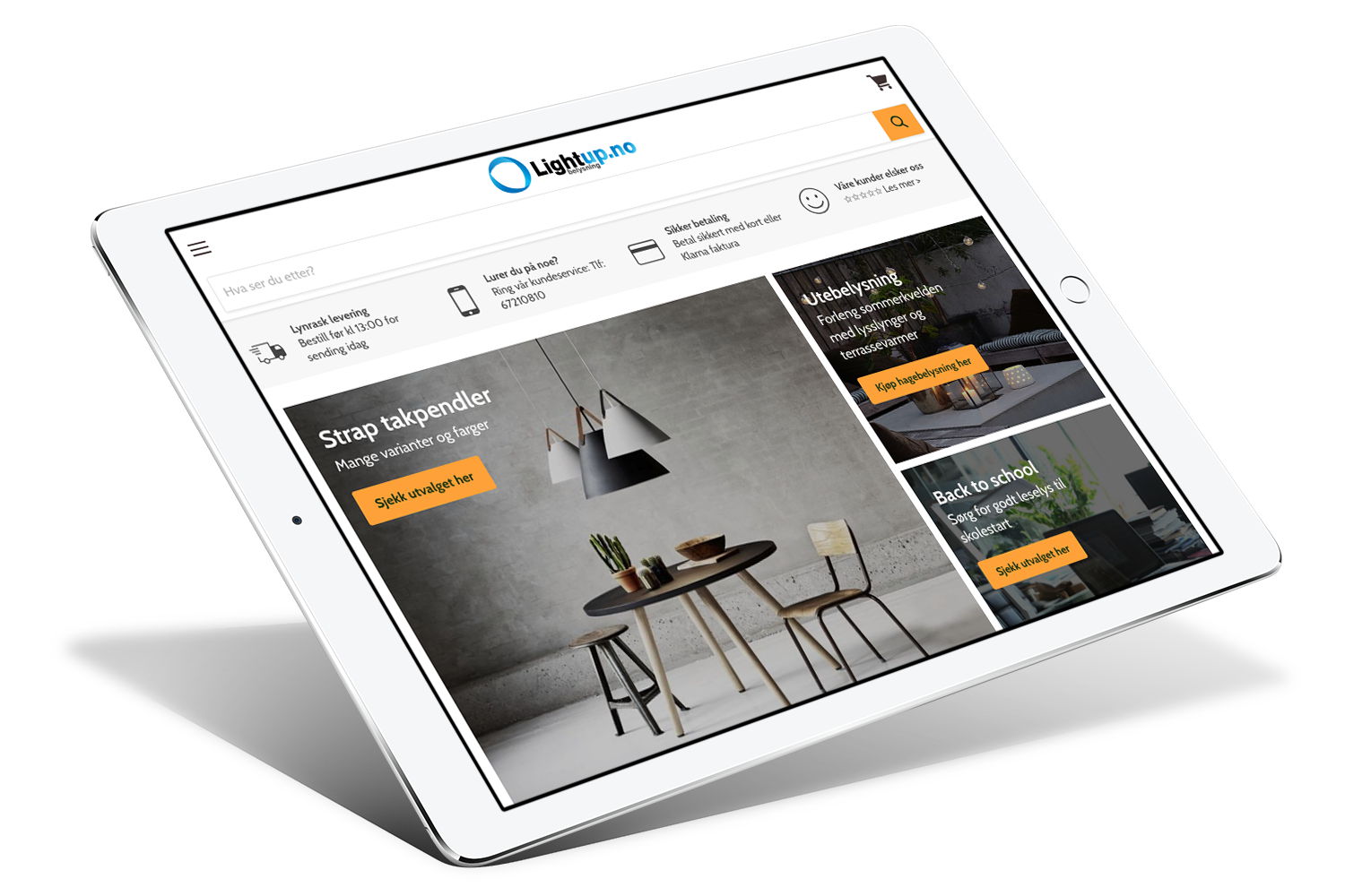 shopify development screenshot for lighting company