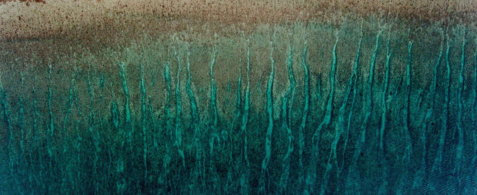 Shopify Instagram: Converting Followers to Customers