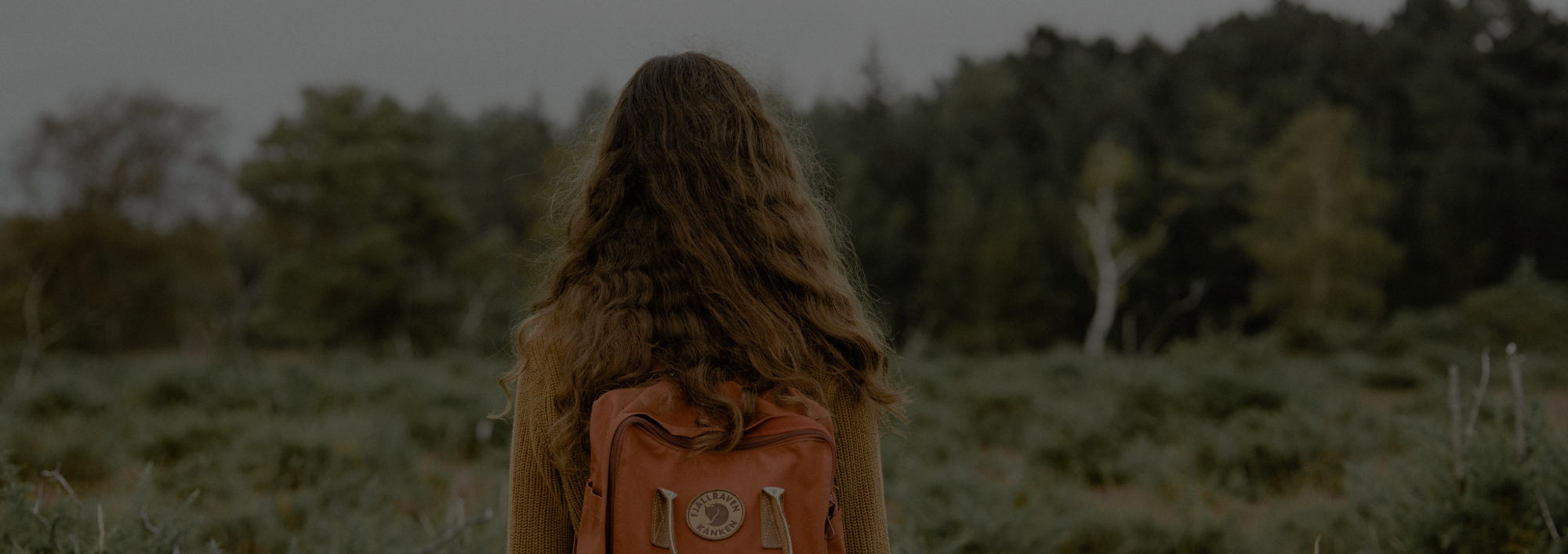 How To improve Your Shopify Site Speed