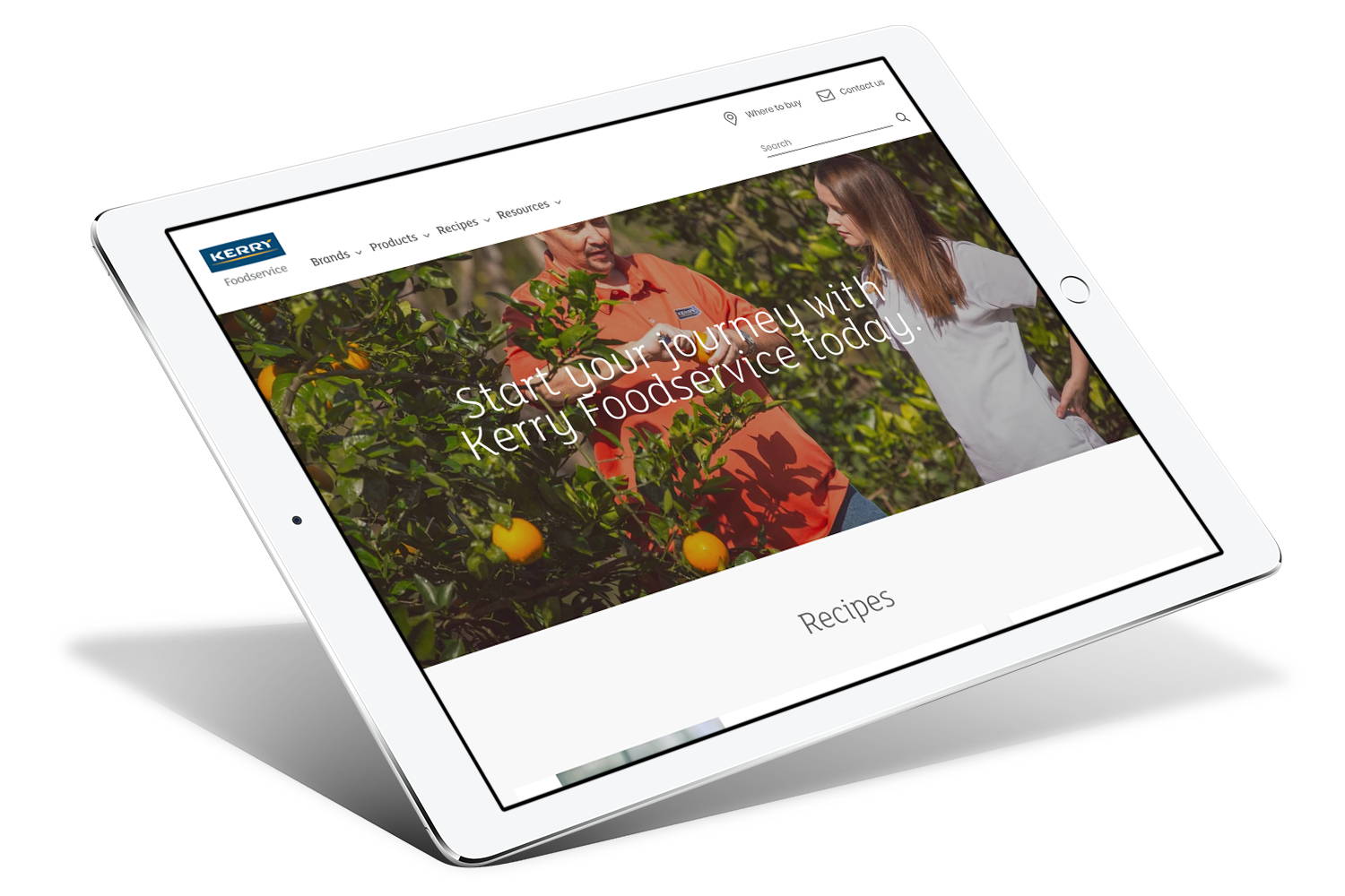 shopify custom theme developers