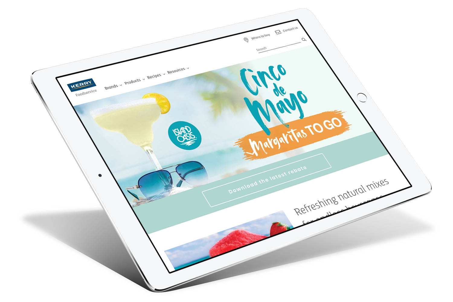 shopify custom theme developers