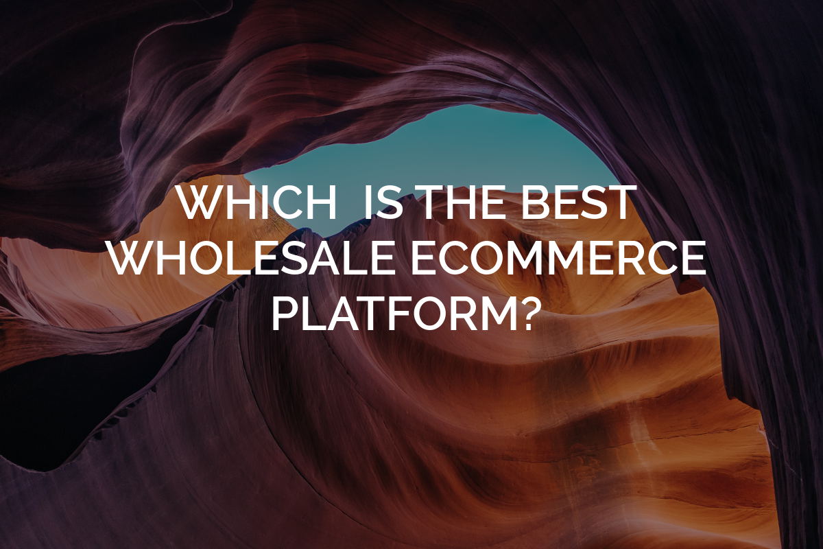 WHICH IS THE BEST WHOLESALE ECOMMERCE PLATFORM