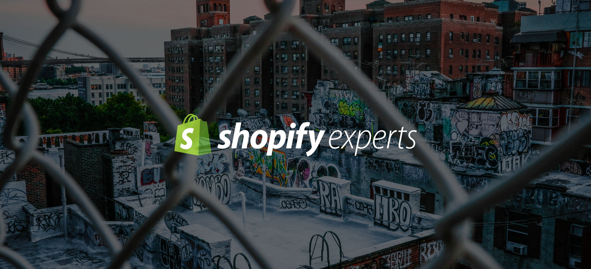 shopify experts hire a shopiify and shopify plus expert