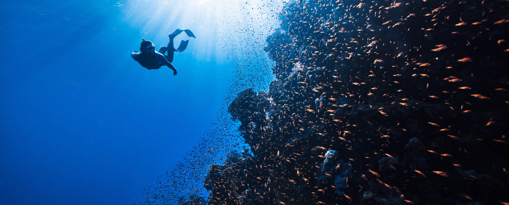 20 Examples of AI in E-commerce